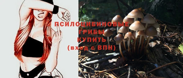 скорость Краснослободск