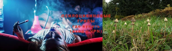 эйфоретик Кукмор