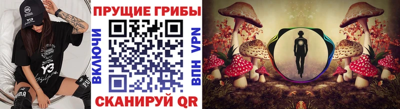 Купить закладки  Пошехонье  Псилоцибиновые грибы MAGIC MUSHROOMS 